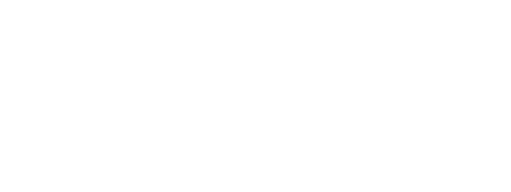 gagdet wave logowhiteee